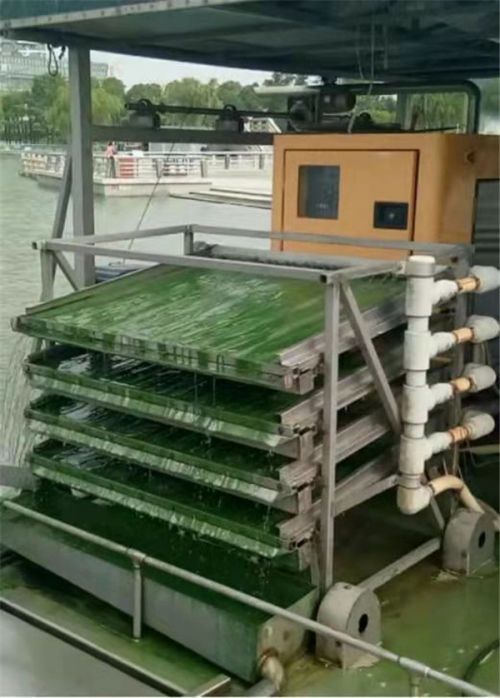 常州武進(jìn) 垃圾變肥料 污水再生利用——以循環(huán)利用守護(hù)綠水青山