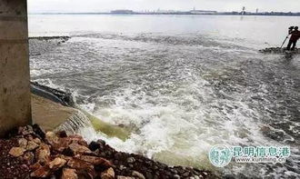 31條入滇河嚴(yán)禁游泳洗車，違者最高罰款500元