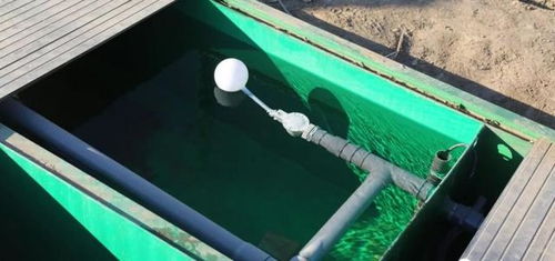 污水秒變?cè)偕?高科技如何讓這條河清澈美麗