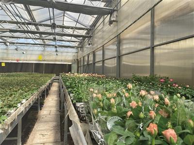 循環(huán)利用，清流再生 北京再生水利用率近三成的實(shí)踐與啟示